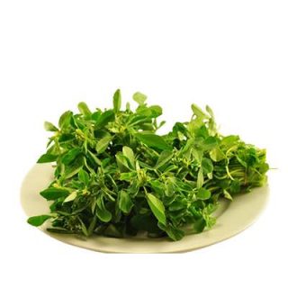 شنبلیله اردستانی تازه