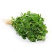 شنبلیله اردستانی بداشت شده
