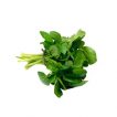 شاهی برگ باریک تازه