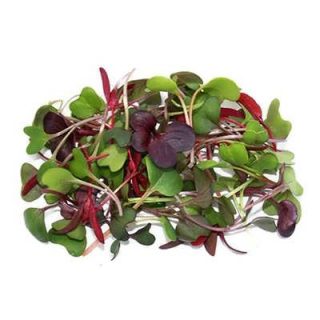 مجموعه 10 بذر میکرو گرین