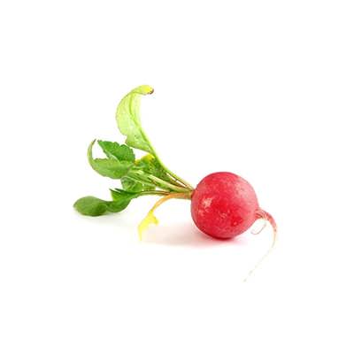 تربچه سرخاب تربچه سرخاب