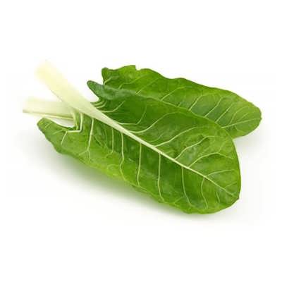 برگ چغندر سفید برگ چغندر سفید
