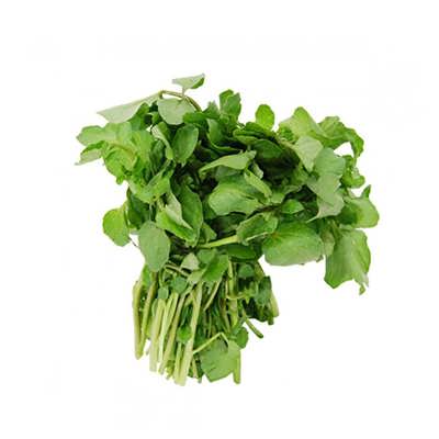 شاهی برگ پهن شاهی برگ پهن
