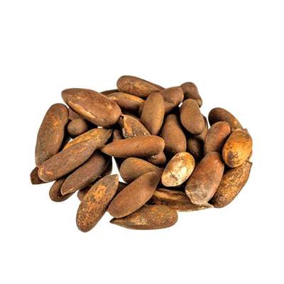 چلغوز چلغوز