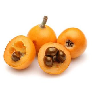 درخت ازگیل ژاپنی
