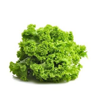 خردل جنوبی كوچک