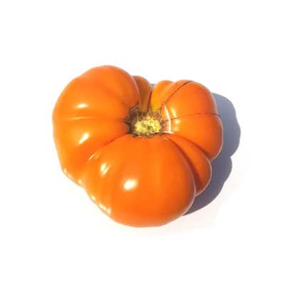 گوجه فرنگی زرد بیف استیک کنتاکی گوجه فرنگی زرد بیف استیک کنتاکی