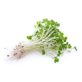 یونجه فله ای تازه