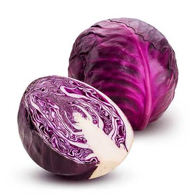 کلم پیچ قرمز کلم پیچ قرمز