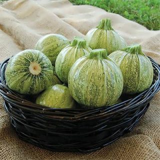 کدو خورشتی رندی در کاسه