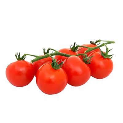 گوجه گیلاسی واشنگتن گوجه گیلاسی واشنگتن