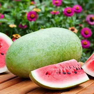 هندوانه چارلستون گری