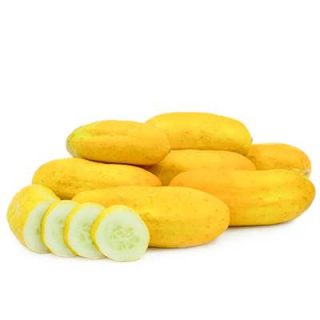 خیار زرد زیردریایی