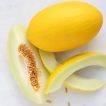 ملون قناری تازه
