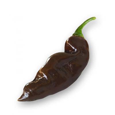 فلفل چارلیستون شکلاتی فلفل چارلیستون شکلاتی