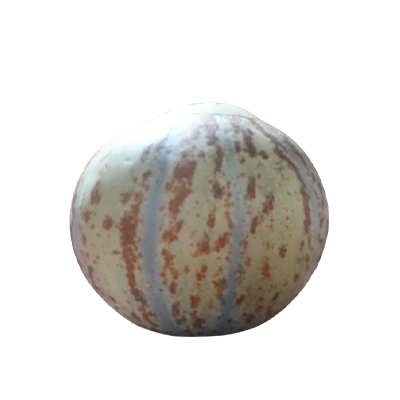 خربزه تیل آتشی خربزه تیل آتشی