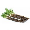 زردک (شقاقل) برداشت شده