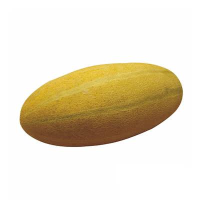 خربزه خاتونی خربزه خاتونی