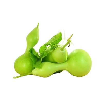 کدو قلیانی کدو قلیانی