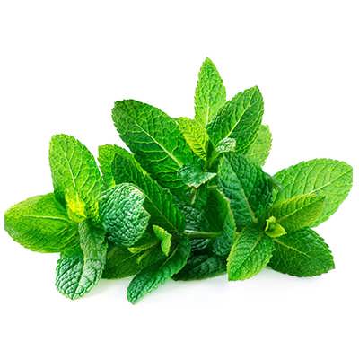 نعنا نعنا