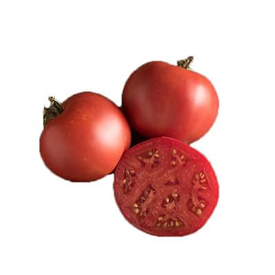 گوجه فرنگی موسکوویچ گوجه فرنگی موسکوویچ