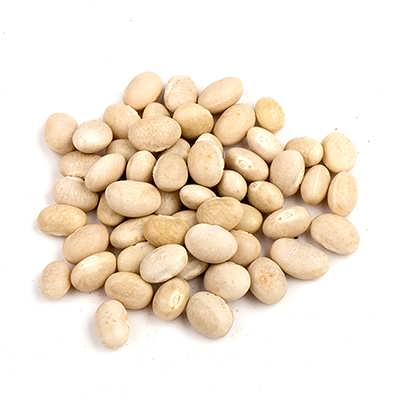 لوبیا سفید لوبیا سفید