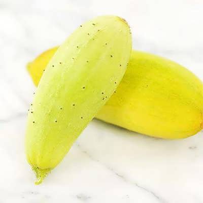 خیار چنبر سلطانی خیار چنبر سلطانی