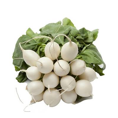 ترب سفید گرد ترب سفید گرد