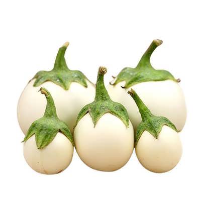 بادمجان سفید دلمه ای بادمجان سفید دلمه ای