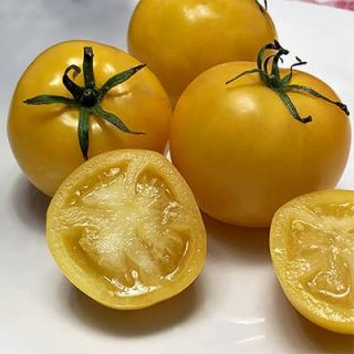 گوجه فرنگی تاکسی زرد