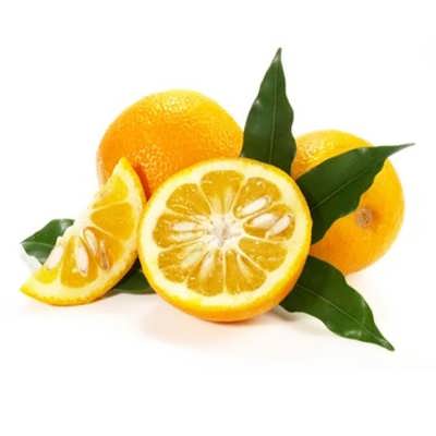 نارنج نارنج