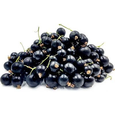 انگور فرنگی سیاه (بلک کارنت) انگور فرنگی سیاه (بلک کارنت)