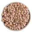 عدس از نزدیک