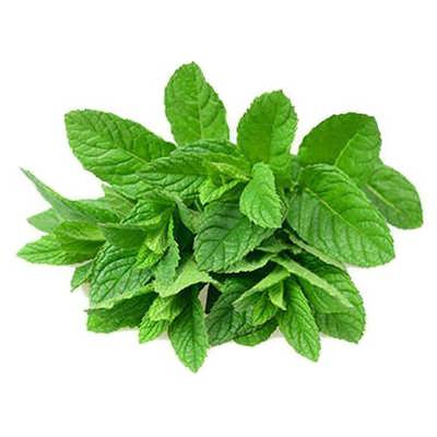 نعنا موهیتو نعنا موهیتو