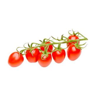 گوجه چری زیتونی قرمز
