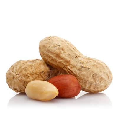 بادام زمینی بادام زمینی