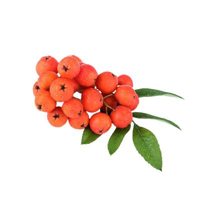روآن بری روآن بری