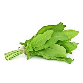 سورل سبز آمریکایی