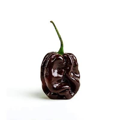 یک فلفل هابانرو شکلاتی یک فلفل هابانرو شکلاتی