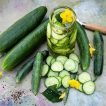 خیار بیت آلفا برش خورده