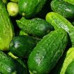 خیار ترشی شمالی ارگانیک