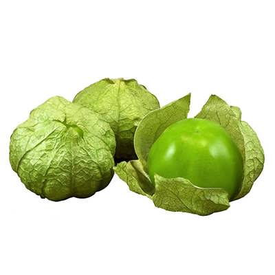 فیسالیس سبز فیسالیس سبز