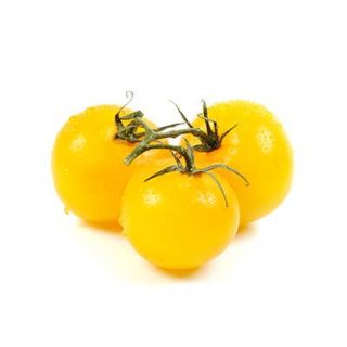 گوجه فرنگی زرد بوته ای