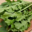 راکولا باغی تازه