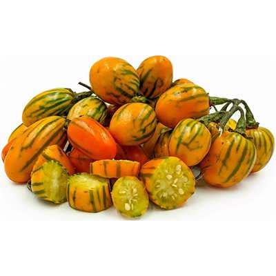 بادمجان آفریقایی توگا کوتاه بادمجان آفریقایی توگا کوتاه