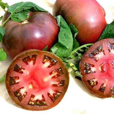 گوجه فرنگی چروکی گوجه فرنگی چروکی