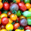 گوجه چری مخلوط ارگانیک