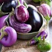 بادمجان دلمه ای میکس در کاسه