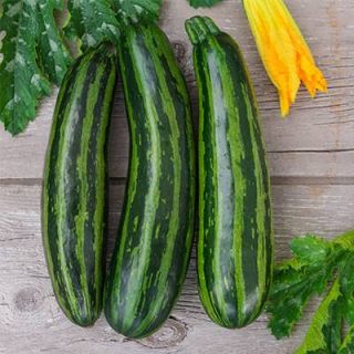 کدو خورشتی سبز رومی