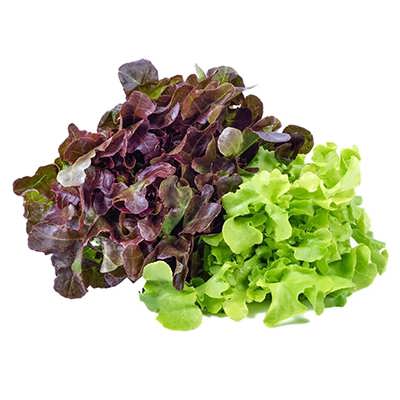 بیبی کاهو میکس از بالا بیبی کاهو میکس از بالا